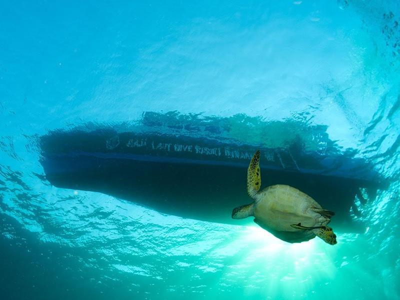 Raja Laut Dive Resort Bunaken Dış mekan fotoğraf